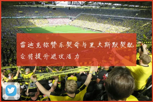 雷迪克称赞东契奇与里夫斯默契配合将提升进攻活力