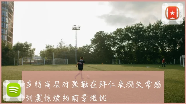 多特高层对聚勒在拜仁表现失常感到震惊续约前景堪忧